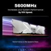Premium 32GB DDR5 5600MHz EVM Memory for Power Users