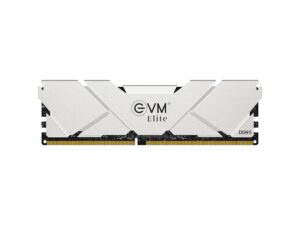 EVM 32GB DDR5 5600MHz RAM for Gaming & Workstation PC