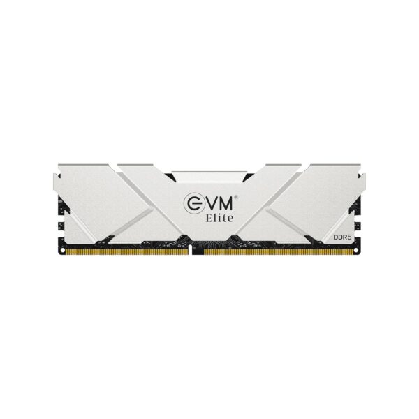 EVM 32GB DDR5 5600MHz RAM for Gaming & Workstation PC